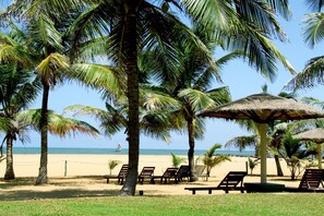 A la platja, gandules de platja i para-sols per a la platja 
