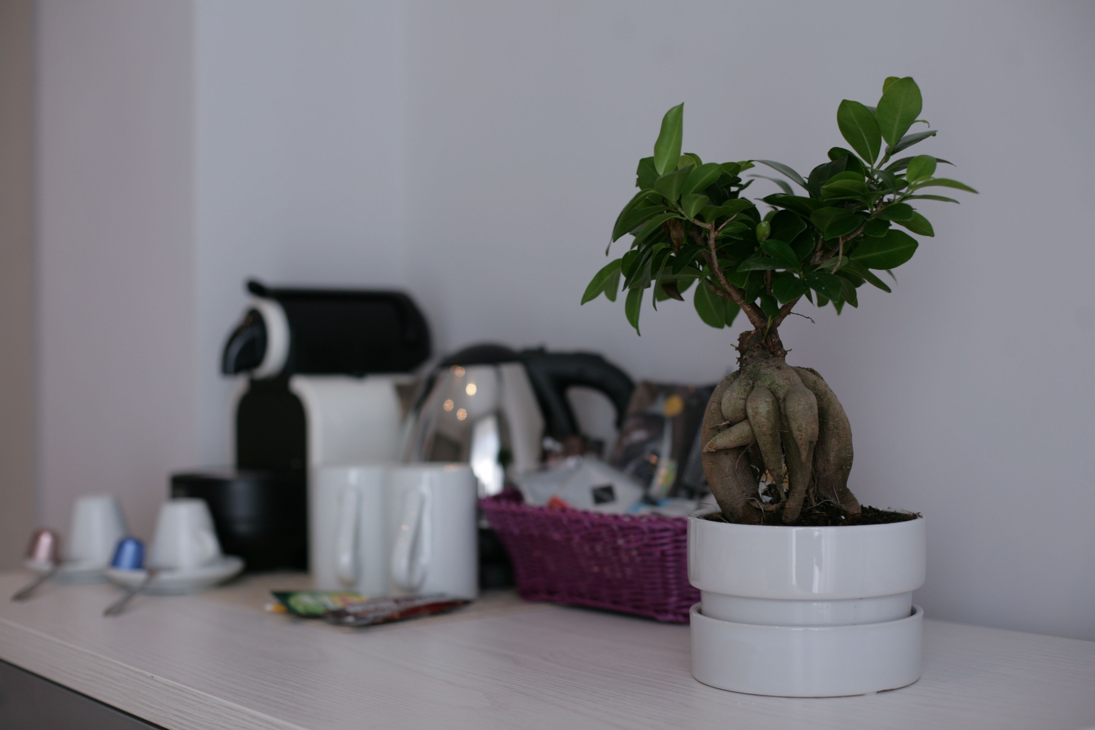 Foto - Five Rooms Rome Guesthouse