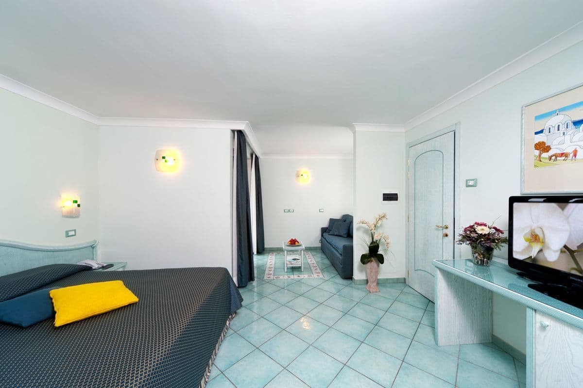 A hotel room with a bed, a desk with a TV, a small table with a vase of flowers, and a couch.