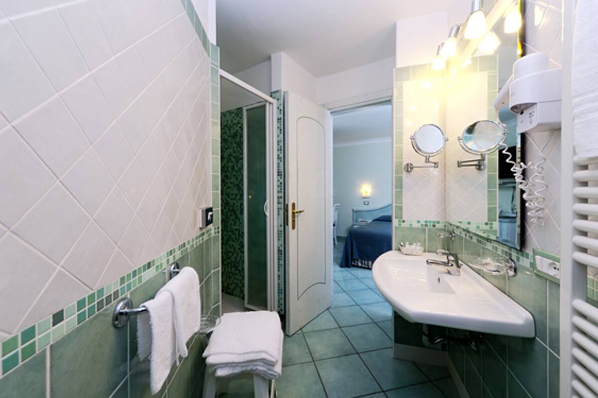 shower, free toiletries, hair dryer, bidet