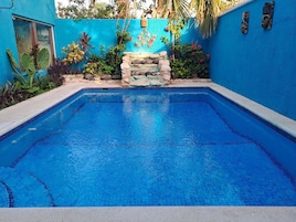 A rectangular swimming pool with clear blue water, surrounded by a blue wall with decorative elements and plants.