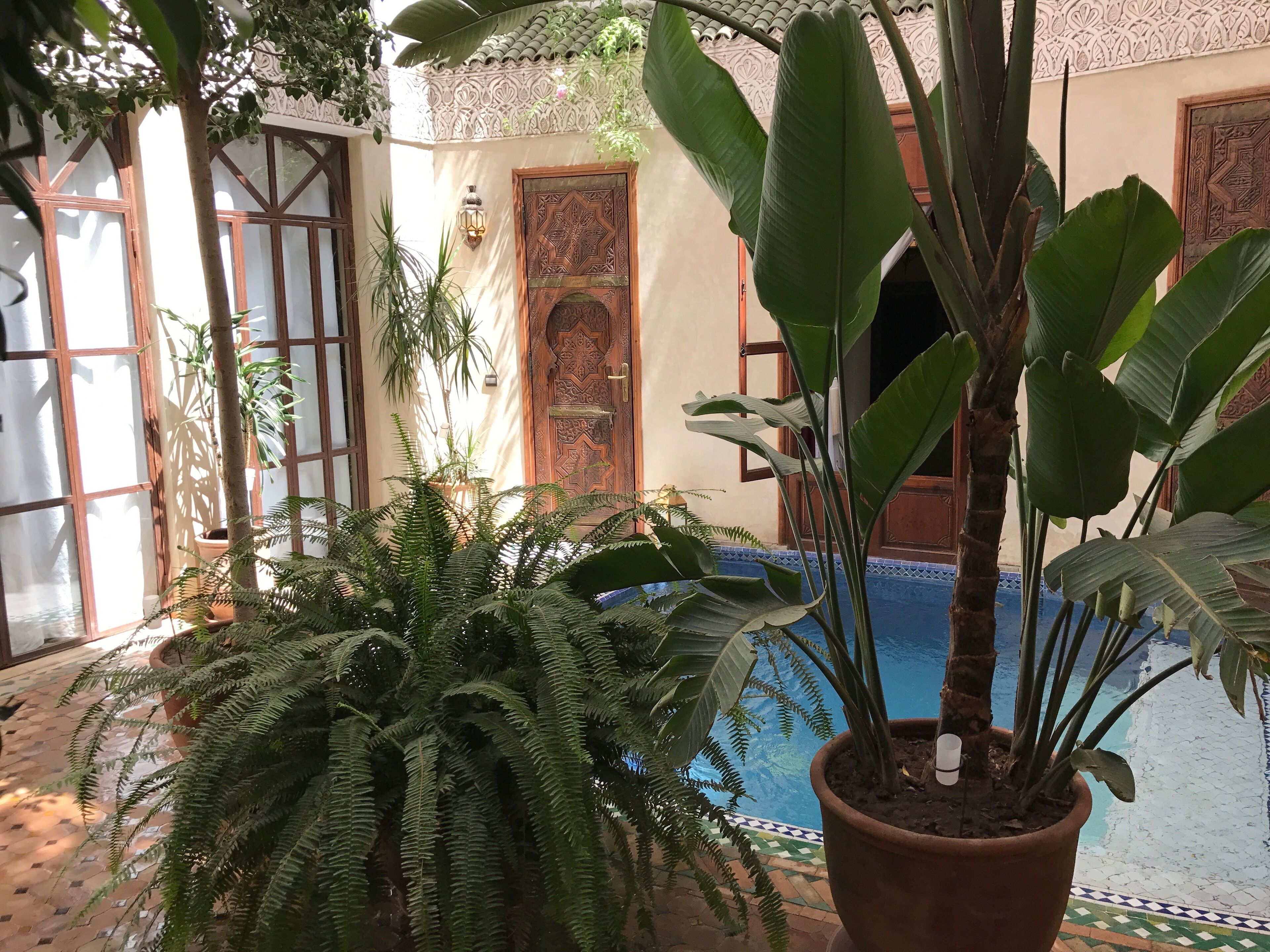 Foto - Riad Belle Epoque