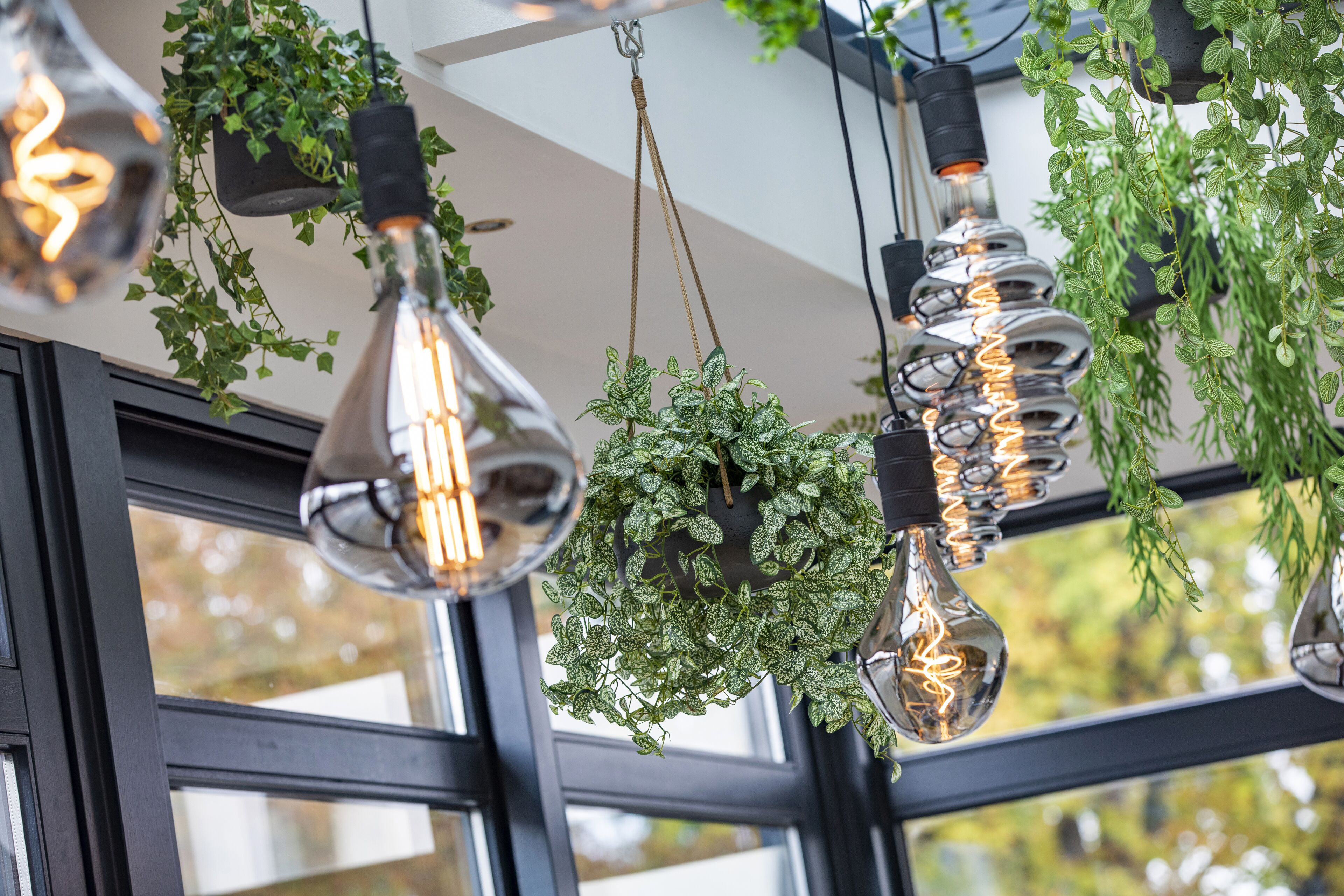 A modern interior with hanging light fixtures and greenery.