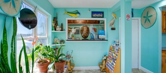 Capital O Padre Island Corpus Christi