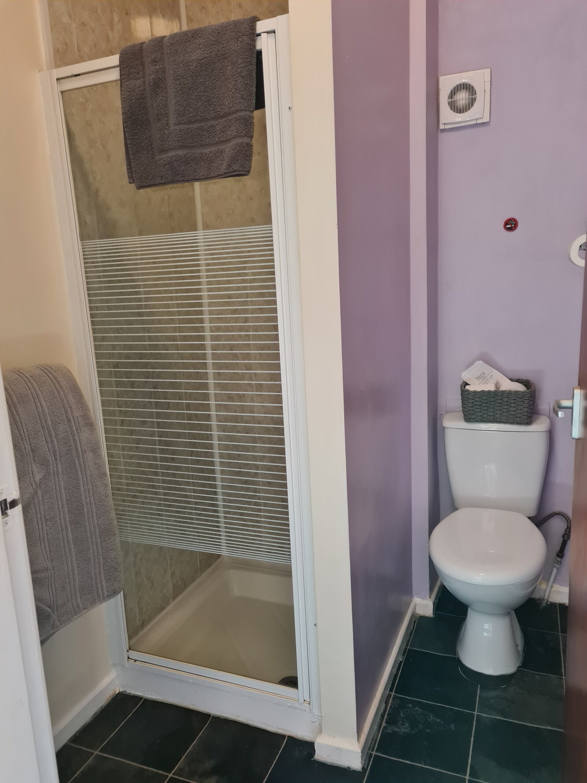 A bathroom with a shower enclosure, a toilet, and a towel rack.