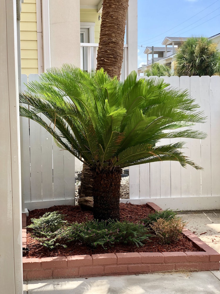 Atlantis Inn Tybee Island, Georgia by null