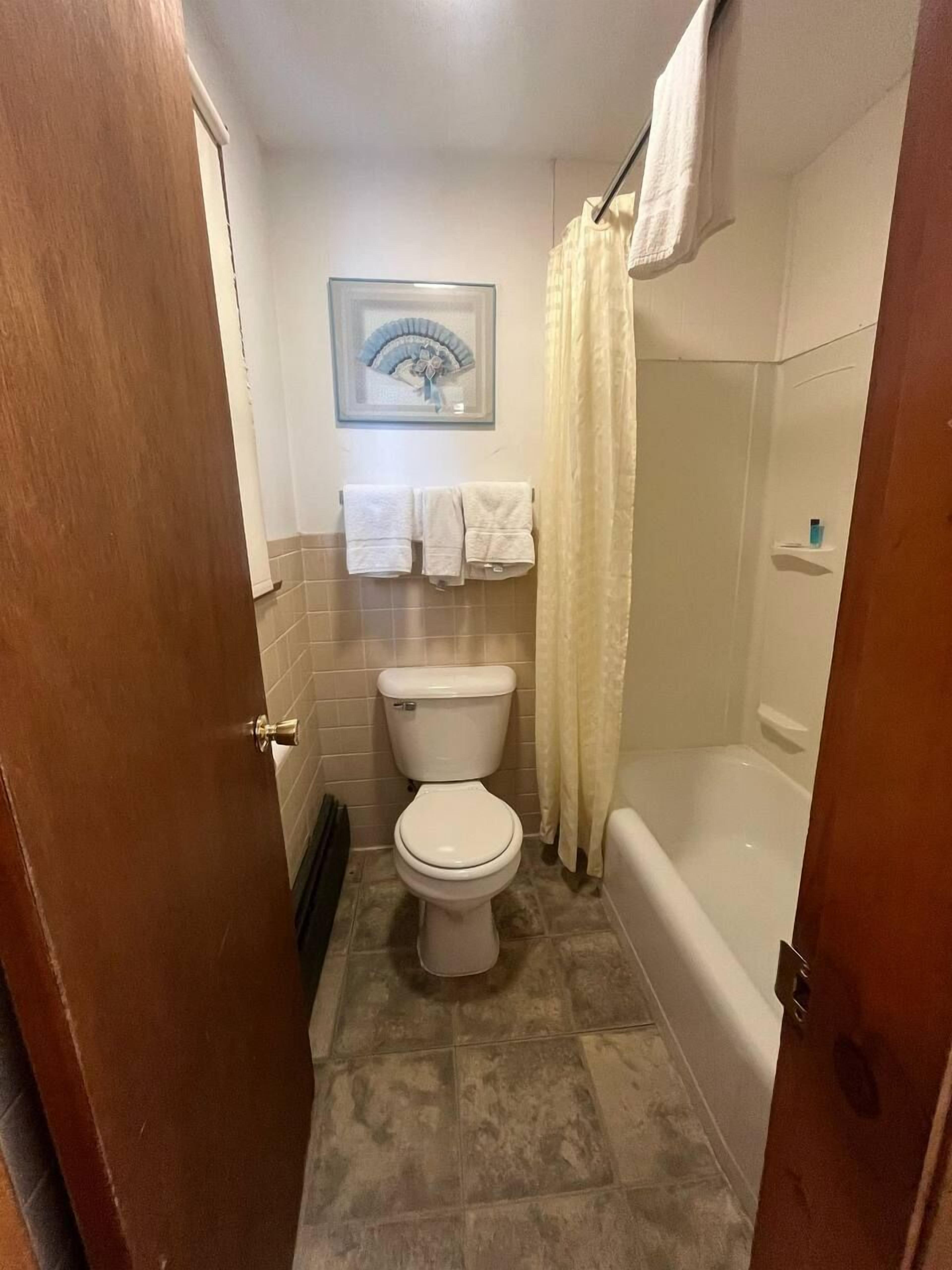 A bathroom with a toilet, a bathtub, and a shower curtain.