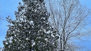 A small white building with a red door and windows, surrounded by snow-covered trees and a clear sky. - Stonybrook Motel & Lodge (Franconia)