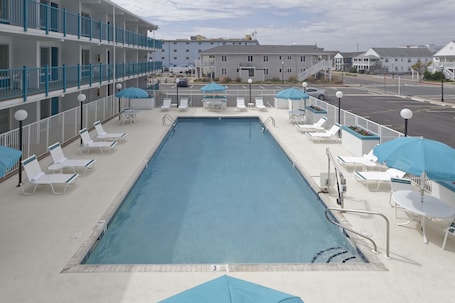 Outdoor pool, sun loungers. Dunes Court