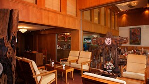 Ảnh chưa phân loại, 5 trong số 45 ảnh, nút