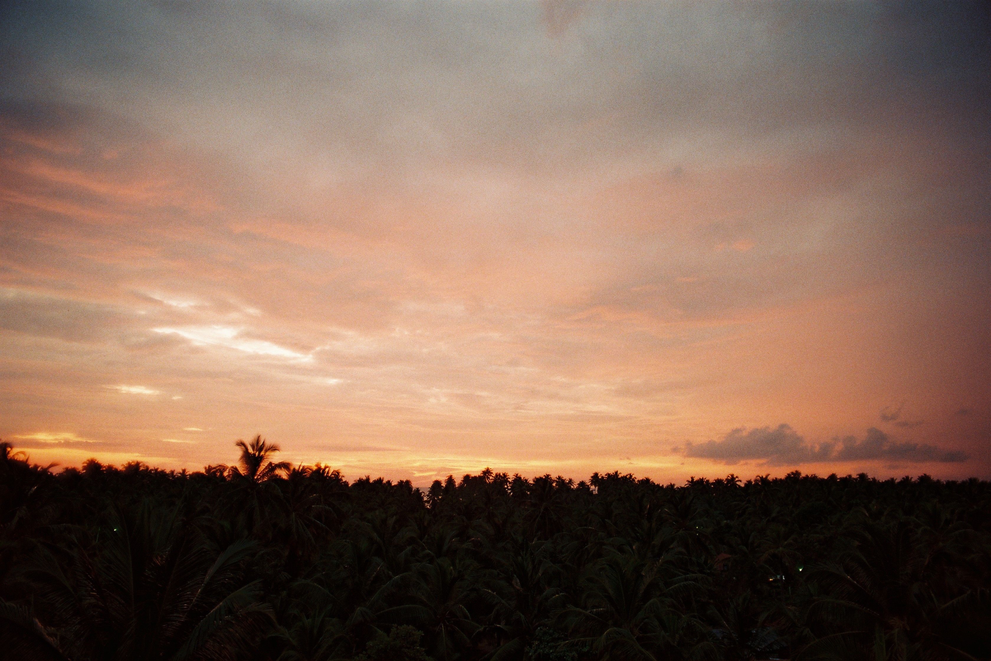 Foto - Hotel Lagoon Paradise