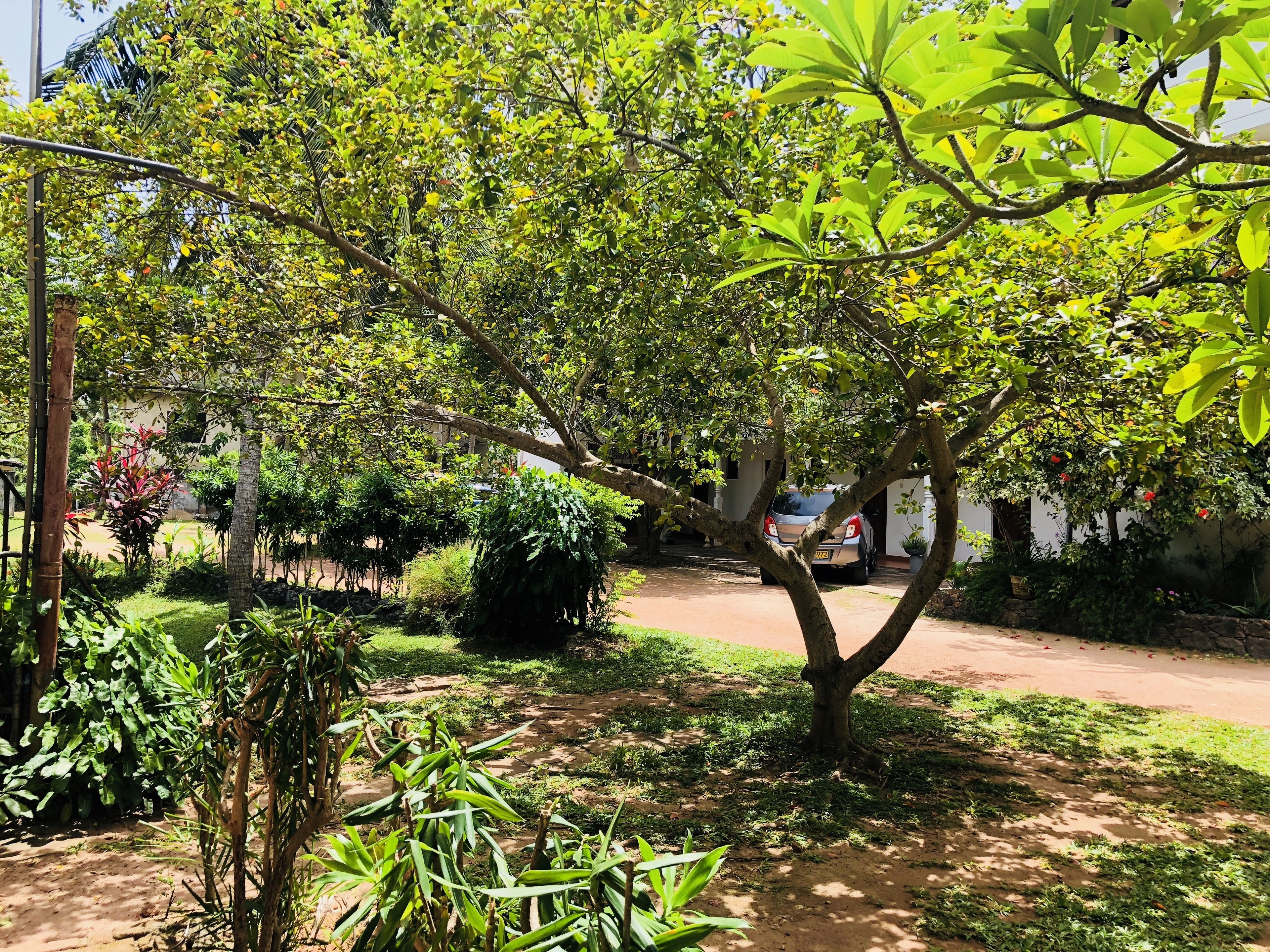 Economy Double or Twin Room, 2 Single Beds, Non Smoking, Lagoon View | View from room