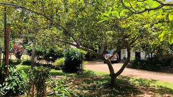 Economy Double or Twin Room, 2 Single Beds, Non Smoking, Lagoon View | View from room