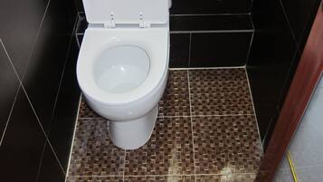 A bathroom with a toilet, sink, and patterned floor tiles.
