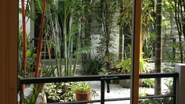 A view through a window with a metal grill, featuring a garden with various plants, a stone pathway, and a bamboo structure. - Delight Residence (Bangkok)