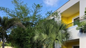 A modern building with a yellow facade, surrounded by lush greenery including palm trees and bamboo.