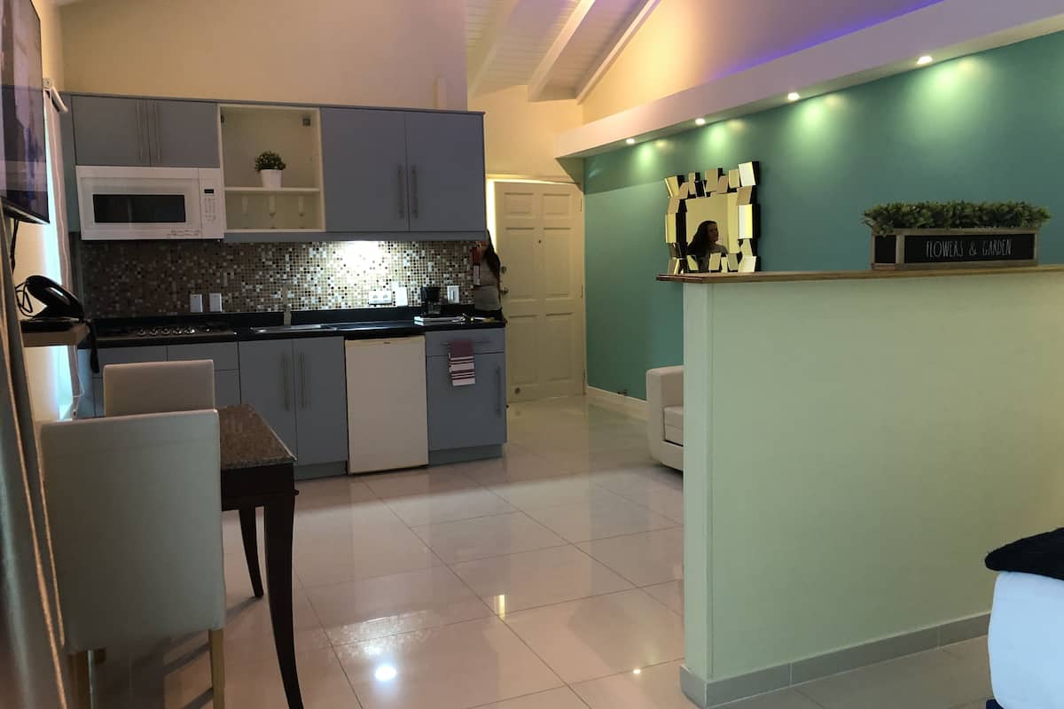 premium studio, 1 king bed with sofa bed | in-room safe, individually decorated, individually furnished, desk