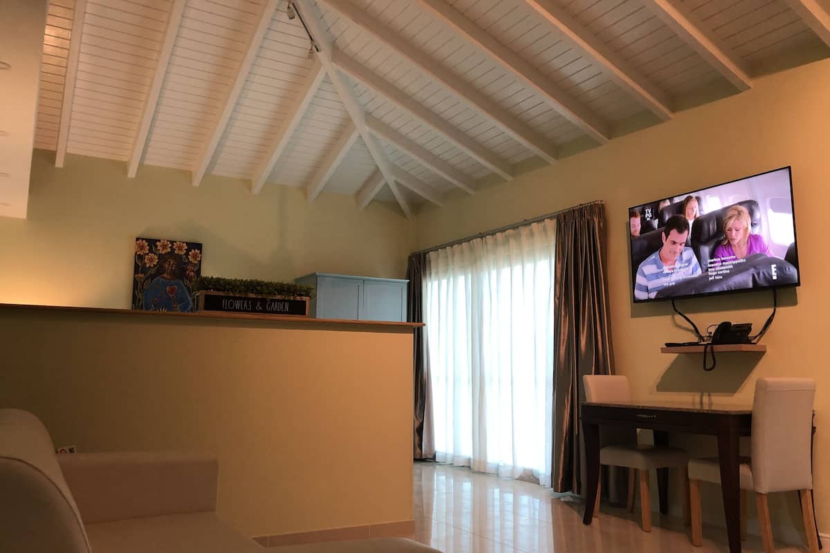 premium studio, 1 king bed with sofa bed | in-room safe, individually decorated, individually furnished, desk