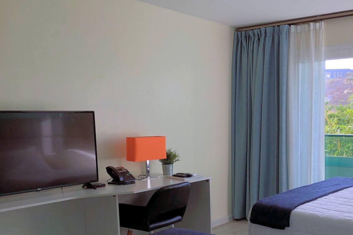 Ein Hotelzimmer mit einem Bett, einem Schreibtisch mit Fernseher, einer Lampe und einem fensterbepflanzten Fenster.