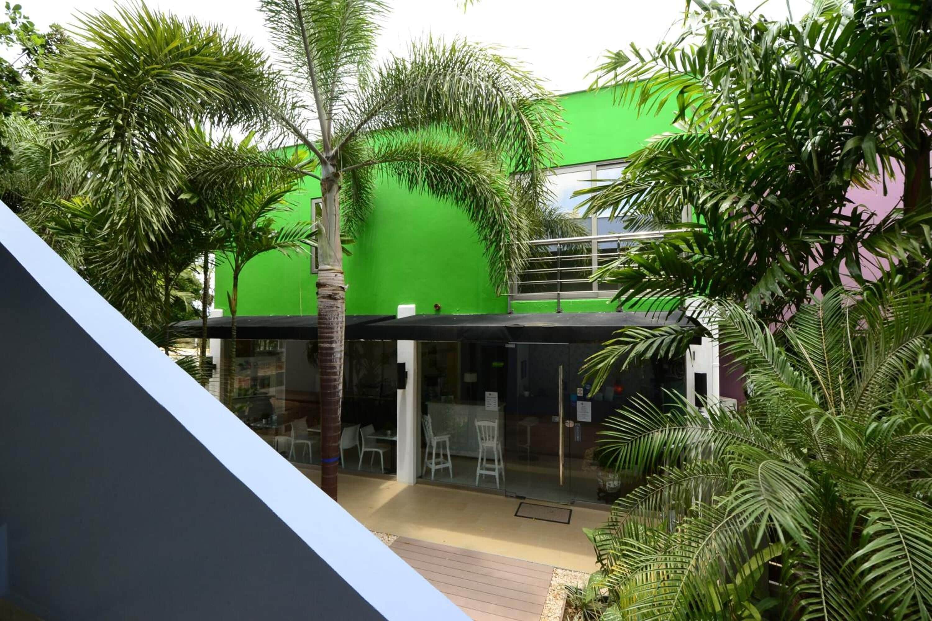 A modern building with a green facade, surrounded by lush tropical plants.