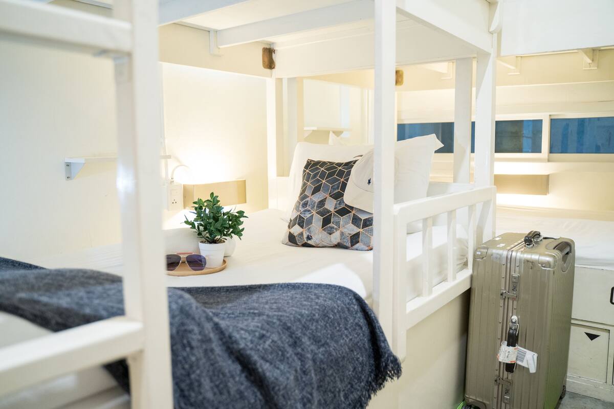 A hotel room with a bed, a suitcase, a lamp, and a potted plant.