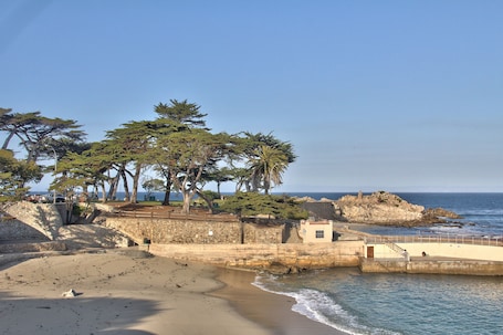 Playa. Butterfly Grove Inn