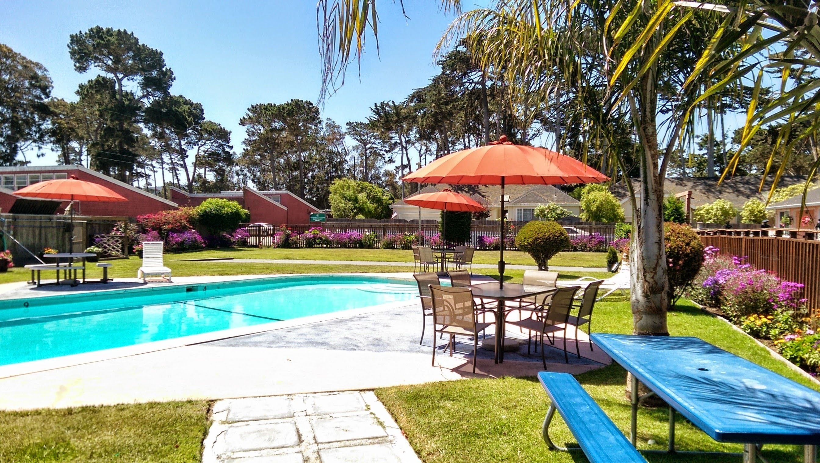 室外游泳池，10:00 至 22:00 开放，日光浴躺椅