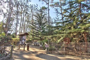 A natural area with a wooden signpost, a wooden fence, and a bench. - Butterfly Grove Inn (Pacific Grove)