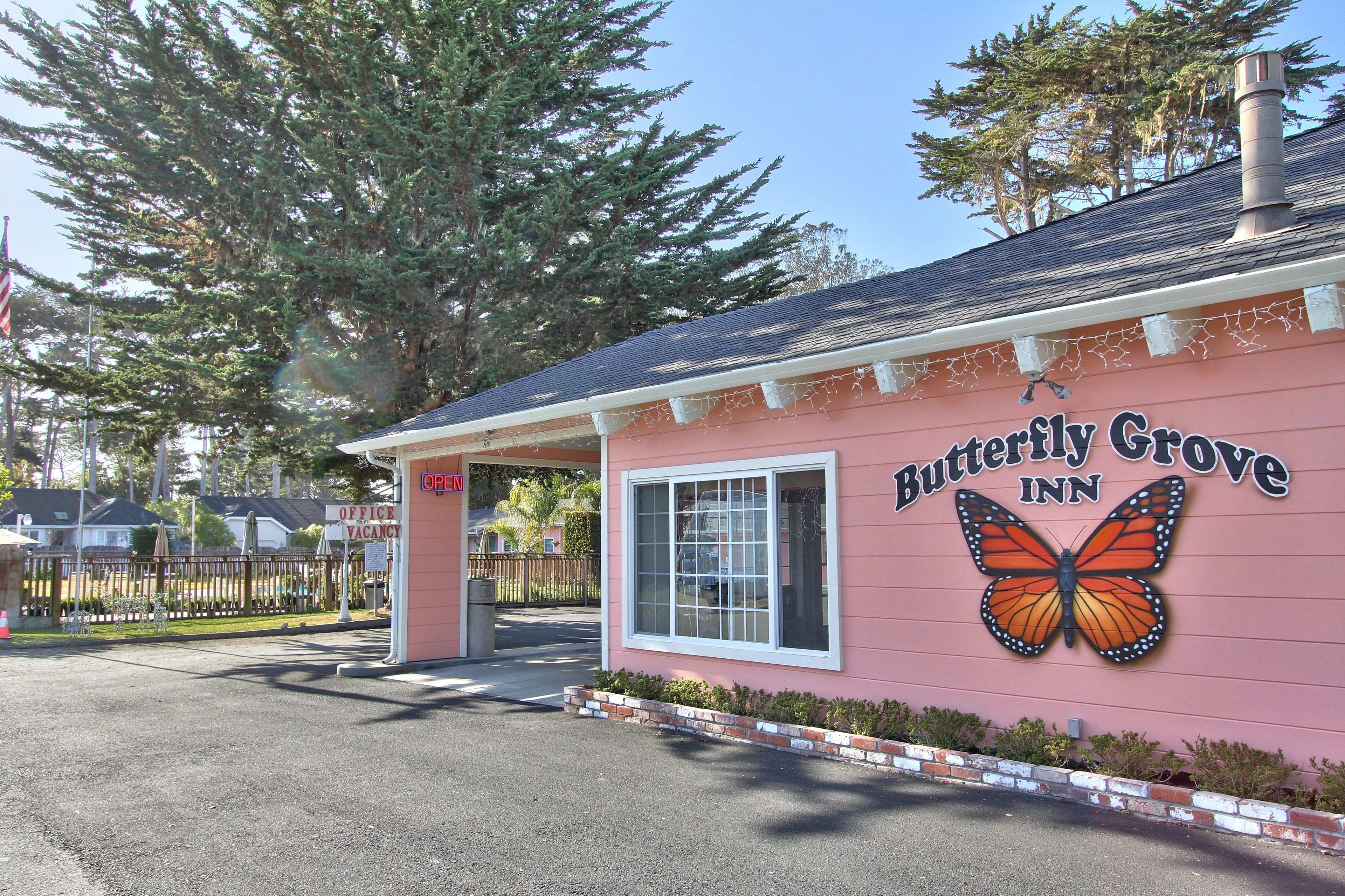 Photo - Butterfly Grove Inn