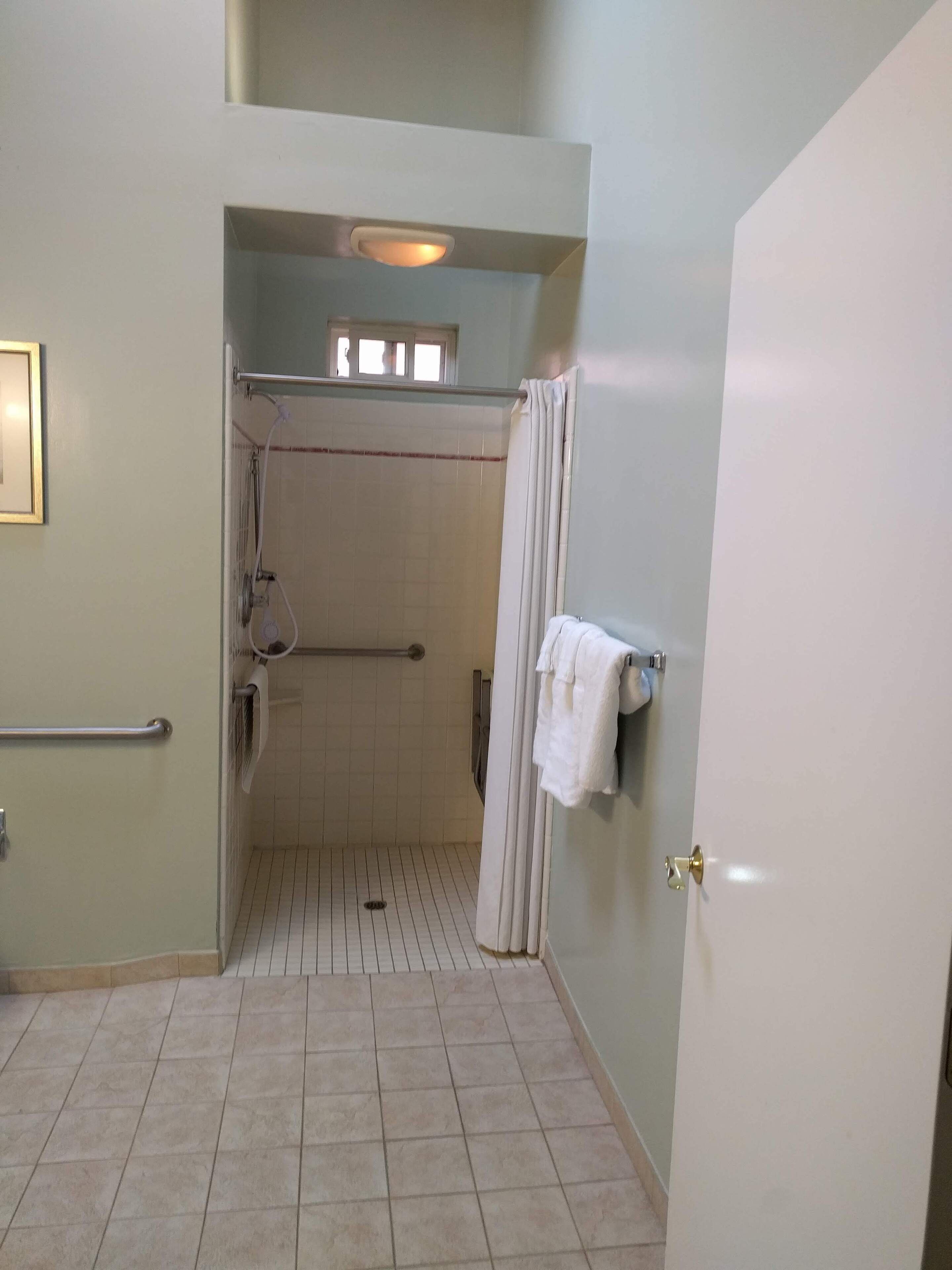 A bathroom with a shower, a handrail, a towel rack, and a door.