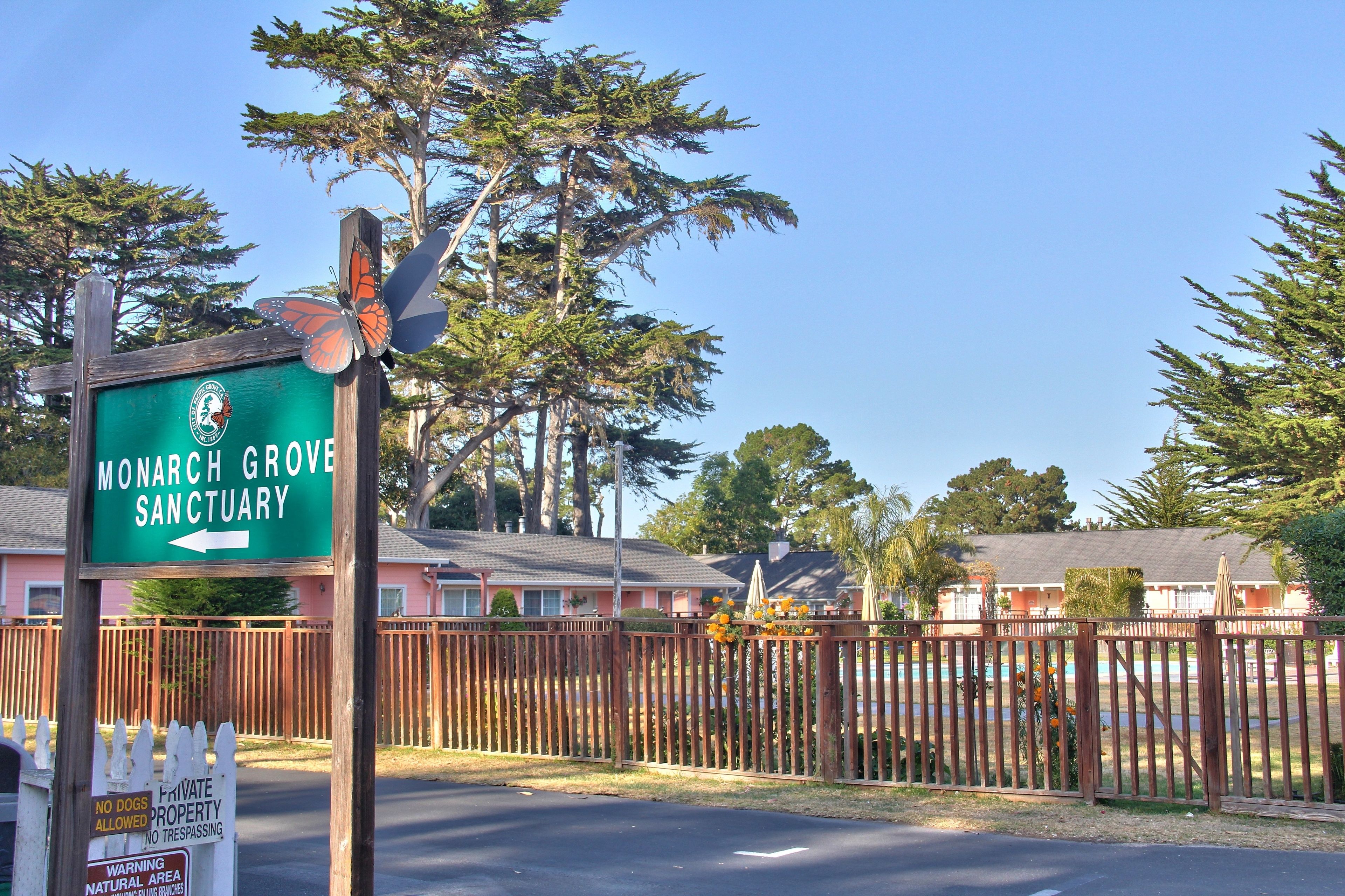 Photo - Butterfly Grove Inn