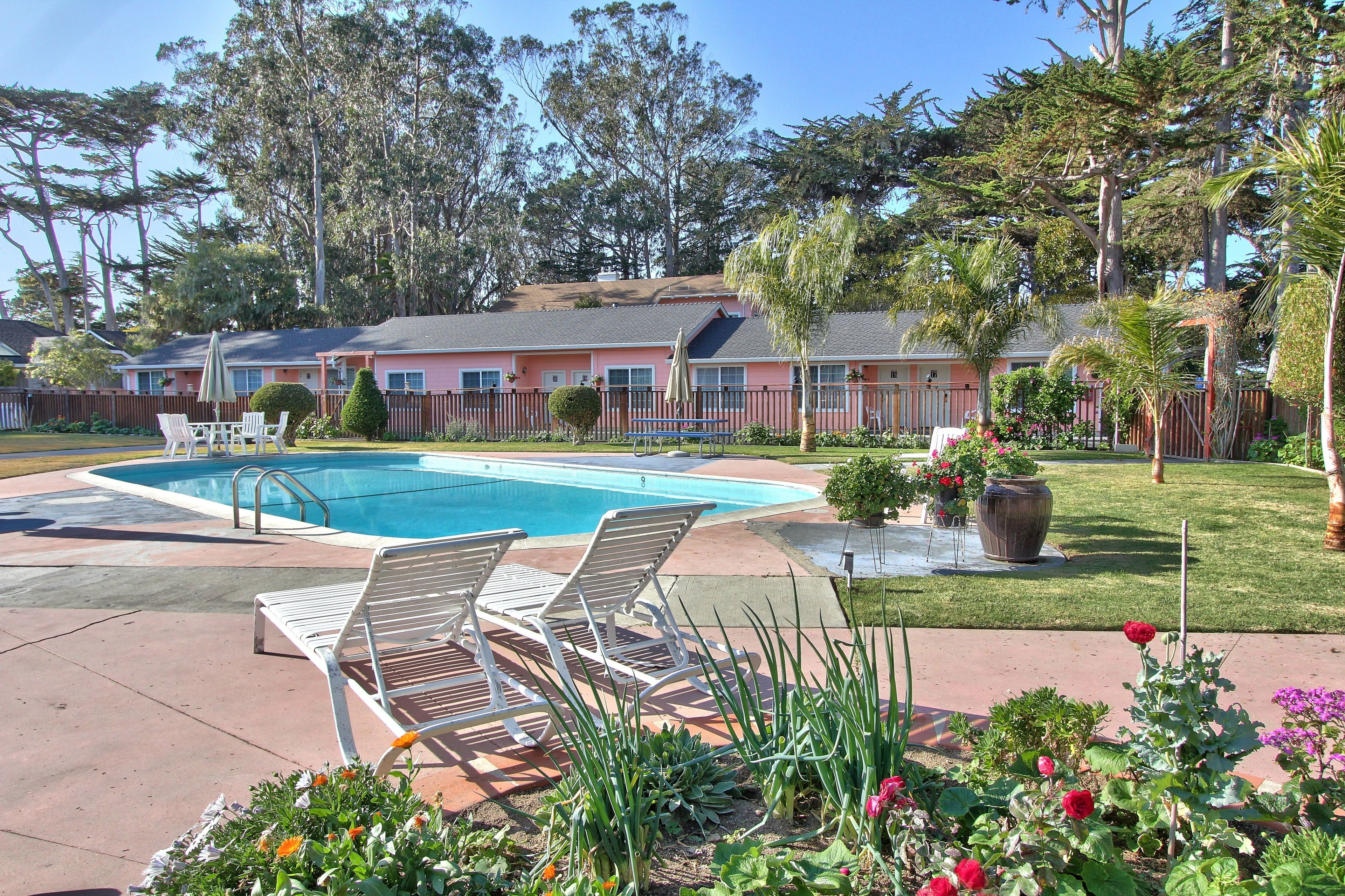 Photo - Butterfly Grove Inn