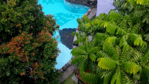 A swimming pool surrounded by lush greenery and stone pathways.