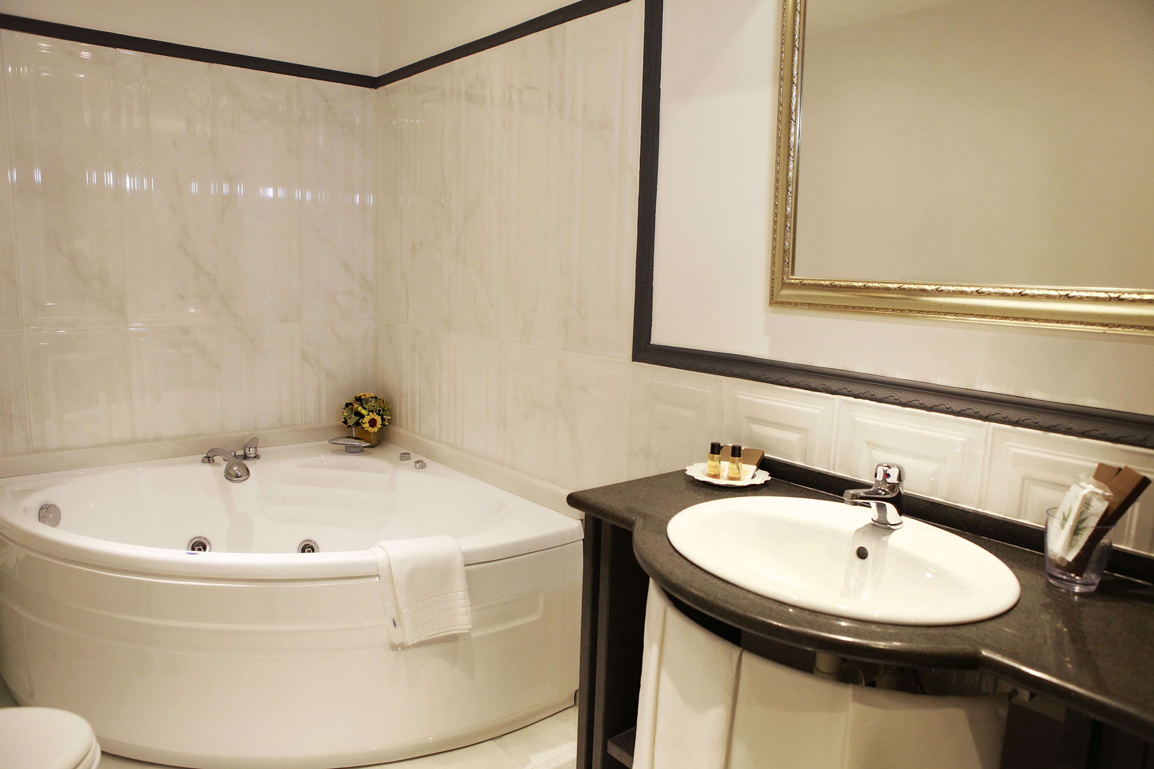 Foto - Hotel Lanfipe Palace