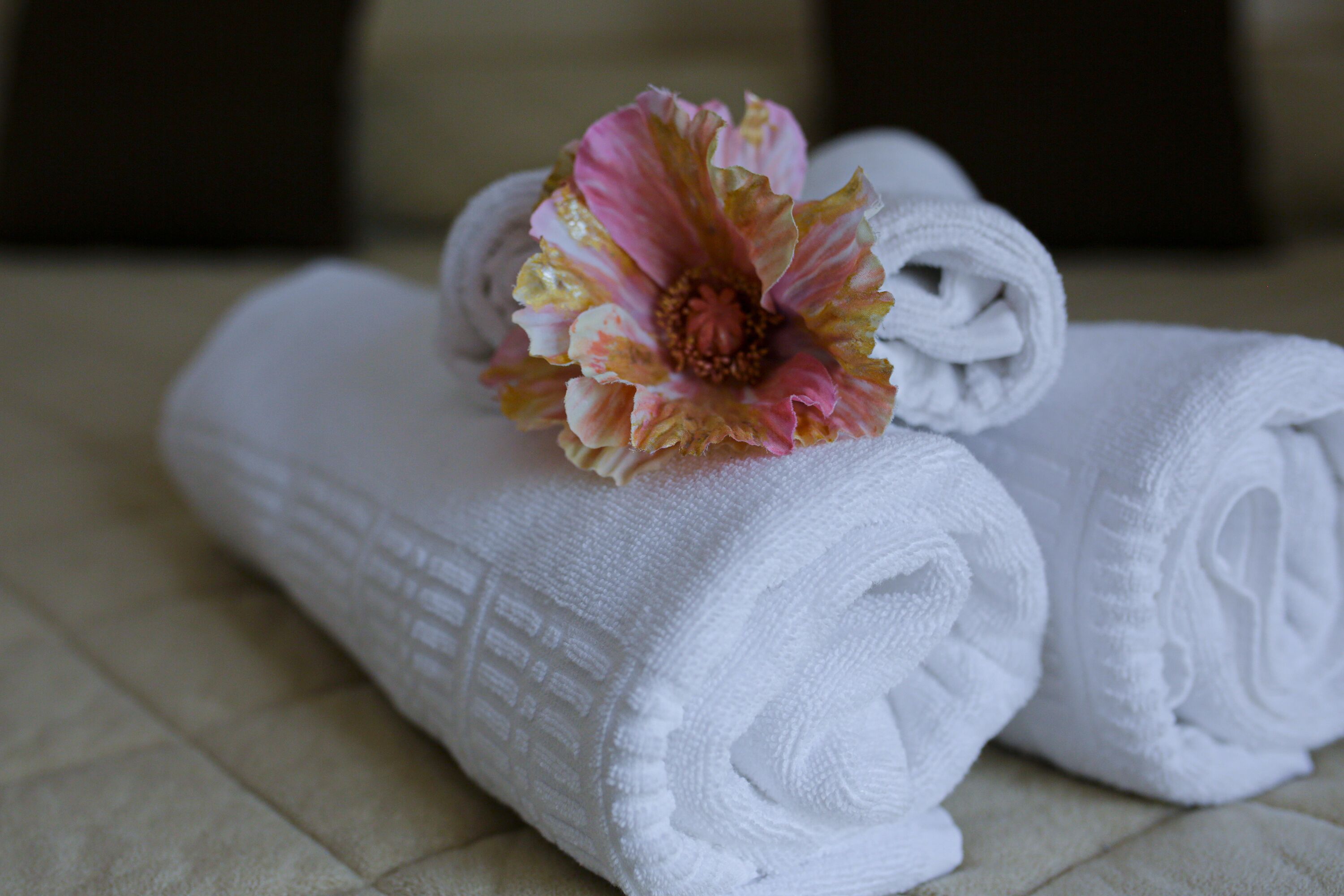 Foto - Hotel Lanfipe Palace