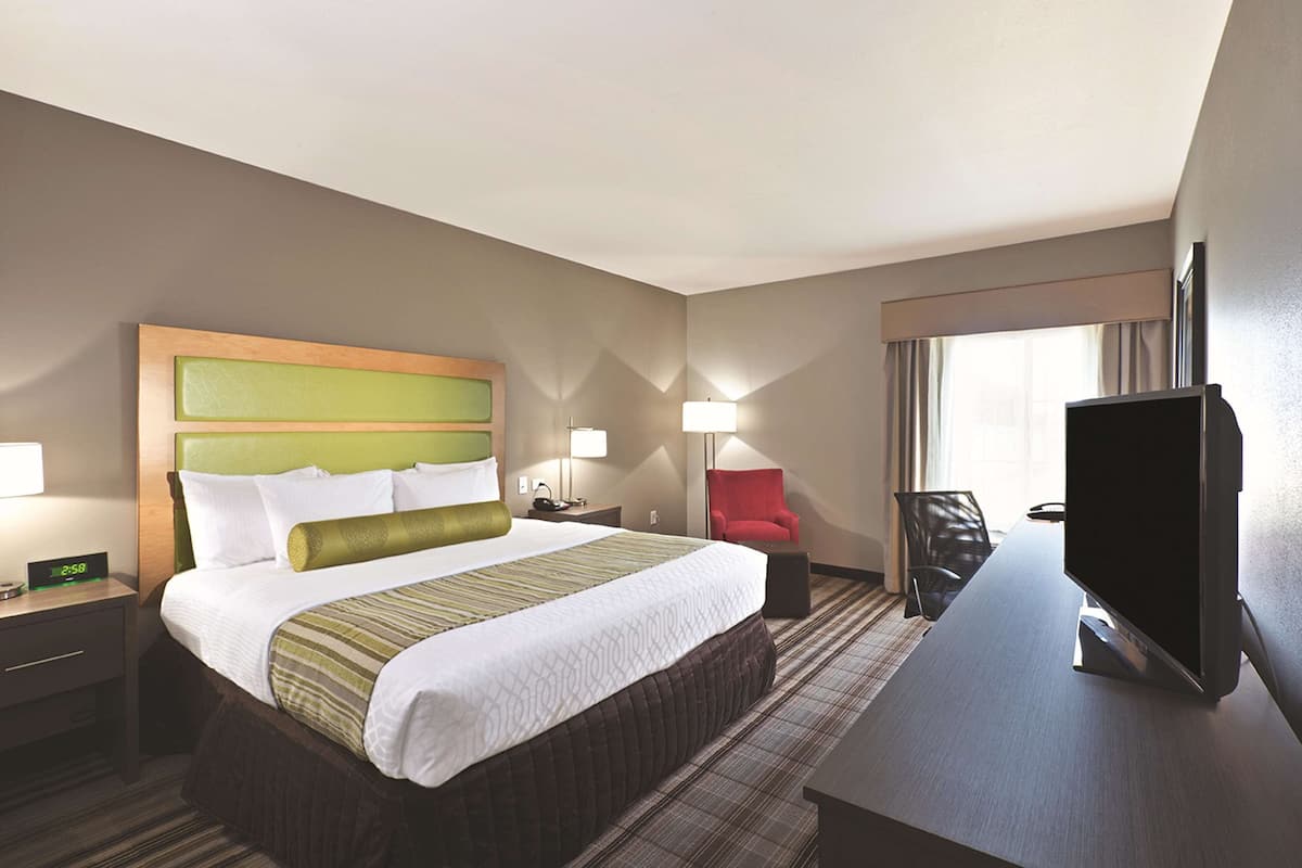 Room, 1 King Bed