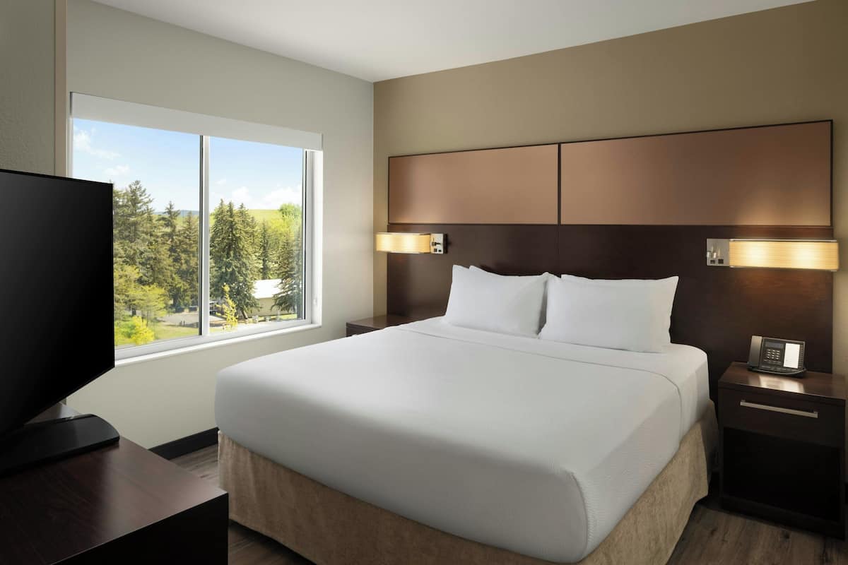 A hotel room with a large bed, a TV, a nightstand with a phone, and a window with a view of trees and a clear sky.