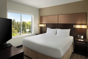 Roupas de cama de algodão egípcio, roupas de cama premium