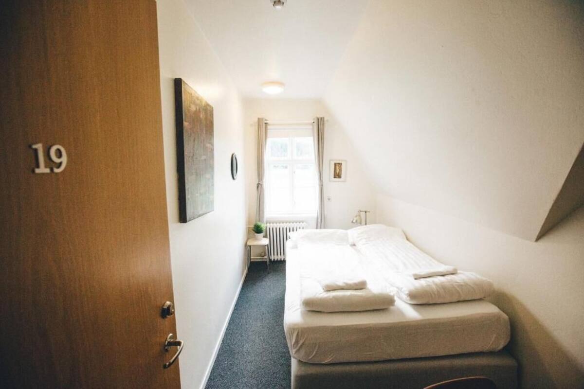 A hotel room with a bed, a small table with a plant, a radiator, and a window with curtains.
