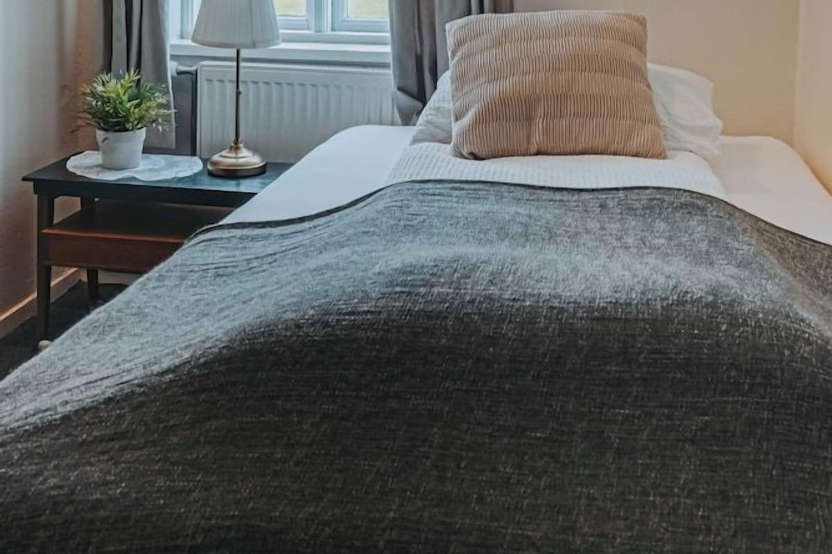 Un dormitorio con cama, ventana con cortinas, mesita de noche con lámpara, una planta pequeña y un cuadro en la pared.