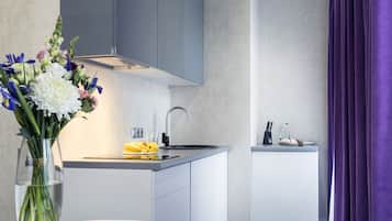 Apartment (B. Vasilkovskaya 71/6) | Private kitchen
