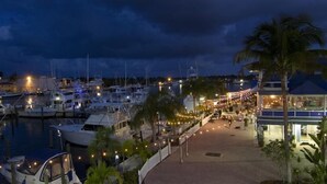 Una marina por la noche con barcos amarrados, un paseo bordeado de palmeras y un edificio iluminado.
