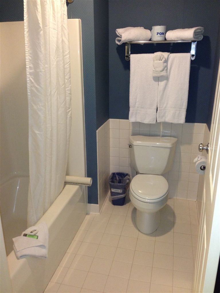 A bathroom with a toilet, a shower, and a towel rack with towels.