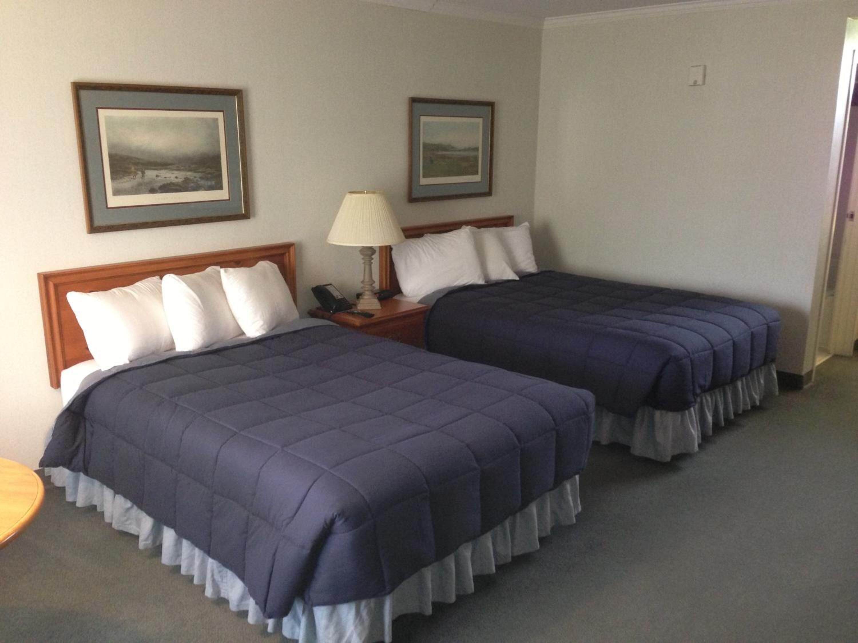 Een hotelkamer met twee bedden, een nachtkastje met een lamp en ingelijste foto’s aan de muur.