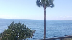 Uma varanda com vista para o mar, uma palmeira e uma mesa redonda com cadeiras.