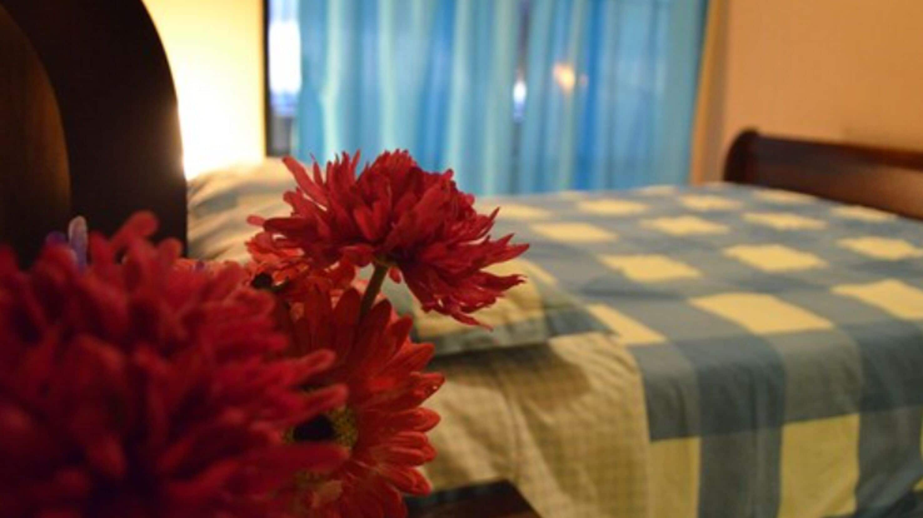 Photo - Hotel La Llave Del Mar