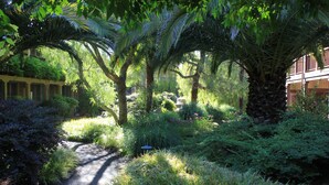 Garden - El Pueblo Inn (Sonoma)
