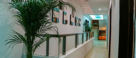 A hallway with a potted plant, a railing, and a series of framed artworks on the wall.