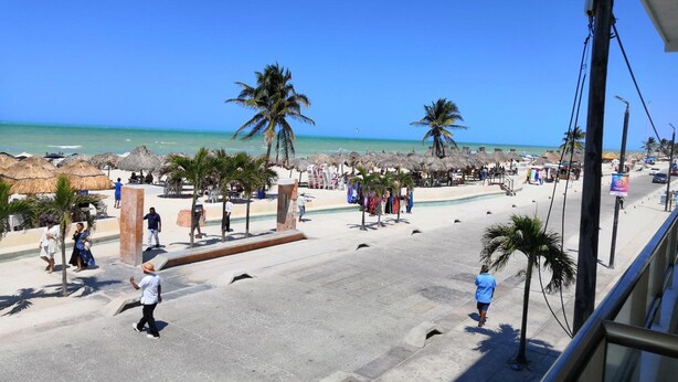 Un paseo marítimo en la playa con palmeras, sombrillas y una vista despejada del océano.