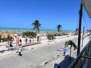 Un passeig marítim amb palmeres, sombrerets de platja i una vista clara de l'oceà.